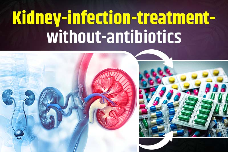 Kidney Infection Treatment Without Antibiotics